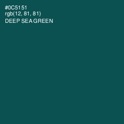 #0C5151 - Deep Sea Green Color Image